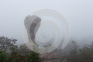 The strange stone  Look like a trophy cup  with mist in the morning at Pa Hin Ngam national park . Chaiyaphum , Thailand