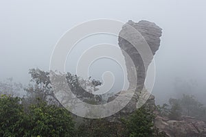 The strange stone  Look like a trophy cup  with mist in the morning at Pa Hin Ngam national park . Chaiyaphum , Thailand