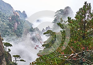Fairyland-like Sanqing Mountain