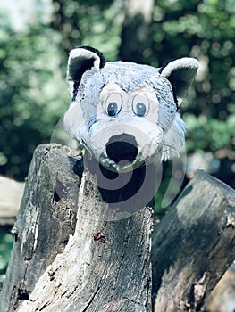 STRANGE - A stuffed raccoon head on a tree stump in a forest