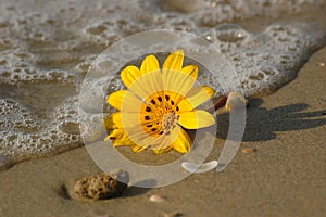 Stranger on the beach