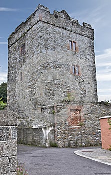 Strangford Castle