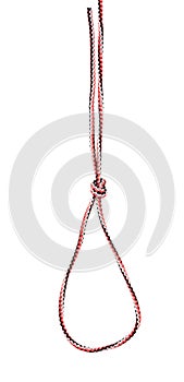 Strangle snare knot tied on synthetic rope cut out