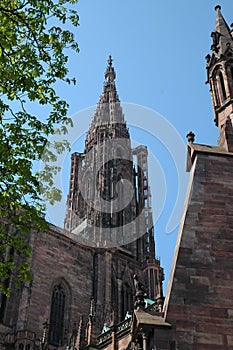 Strasbourg Cathedral Steeple