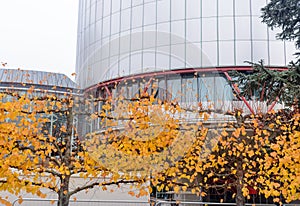 Strasbourg European court of human rights