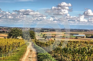 Strasbourg and the Rhine valley