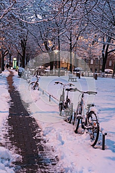 Strasbourg and velo under snow at winter photo