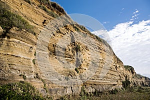 Strata within the cliff