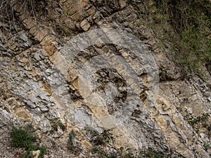 Strata of limy rock.