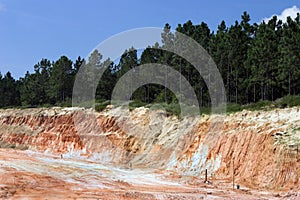 Strata of rock and dirt with trees photo