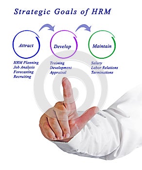 Strategic Goals of HRM