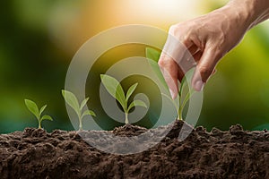 Strategic growth person plants seeds, cultivating opportunities aligned with vision