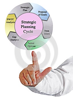 Strategic Planning Cycle