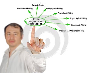 Strategies of Price Adjustment