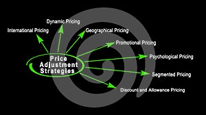 Strategies of  Price Adjustment