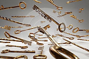 Strategy idea concept business. Golden keys with success sign. 3D rendering