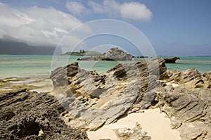 Stratified calcarenite at Lagoon Beach Lord Howe Island photo