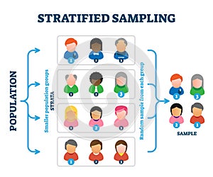 Stratified sampling example, vector illustration diagram photo