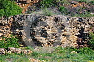 A stratigraphic section of Miocene shell limestone