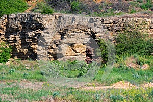 A stratigraphic section of Miocene shell limestone