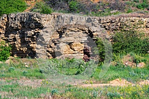 A stratigraphic section of Miocene shell limestone photo