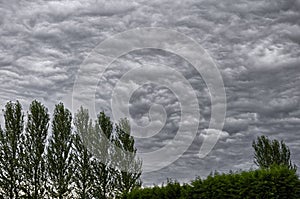 Stratocumulus clouds photo