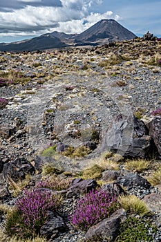 Stratovolcano Mount Ngauruhoe photo