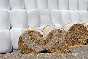 Straw as animal food foiled into white foil