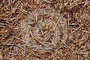 Straw background. Dry straw, hay straw yellow background texture