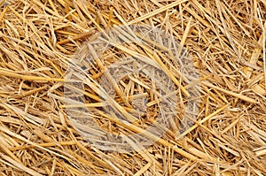Straw background texture