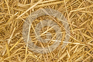 Straw Background texture close up