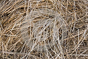 Straw backgrounds