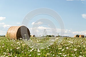 Straw bale on meadow at summer day field and clouds
