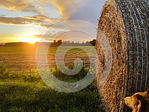 Straw bale in the sunset