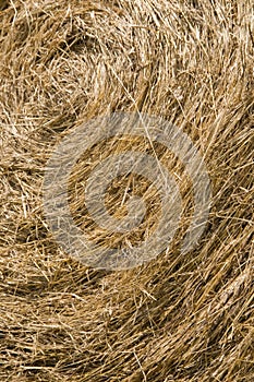 Straw Bale Texture