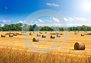 Straw bales