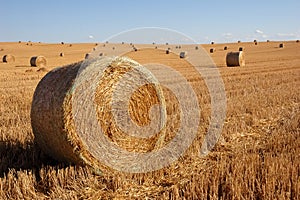 Straw bales