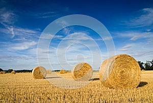 Straw bales photo