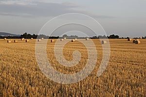 Straw bales