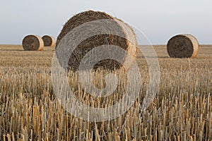 Straw bales