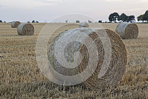 Straw bales