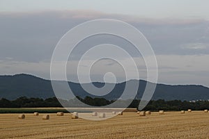 Straw bales