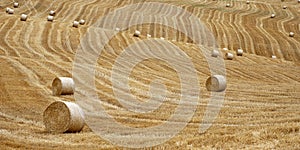 Straw Bales