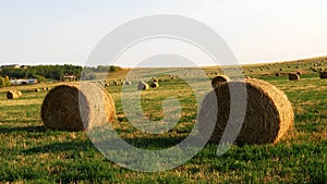 Straw bales