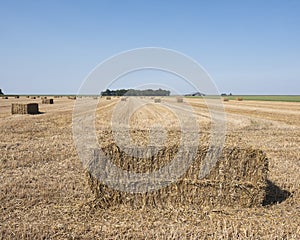 Straw bales in agriculture country landscape of north groningen in the netherlands