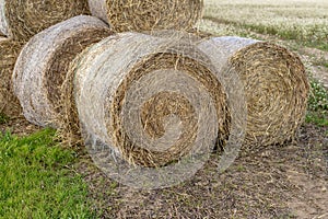 Straw in bales at an asphalt road in the countryside. Stacks of