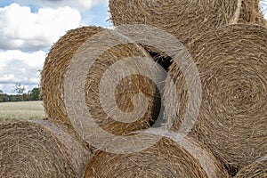 Straw in bales at an asphalt road in the countryside. Stacks of