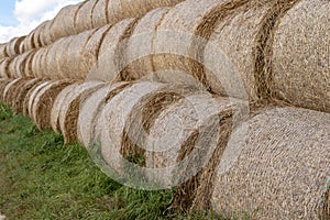 Straw in bales at an asphalt road in the countryside. Stacks of