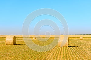 Straw Bales on the Bright Yellow Field under Blue Sky.