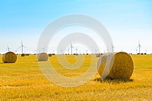 Straw Bales on the Bright Yellow Field under Blue Sky. Wind Generator Turbines on the Background